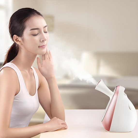 蒸臉器方案開發(fā)設(shè)計